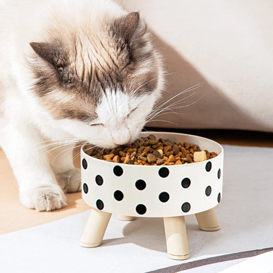 Polka Dot Non-Slip Plastic Pet Bowl for Cats and Dogs
