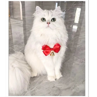 Festive Cat Scarf with Bell Necklace for Holiday Photoshoots