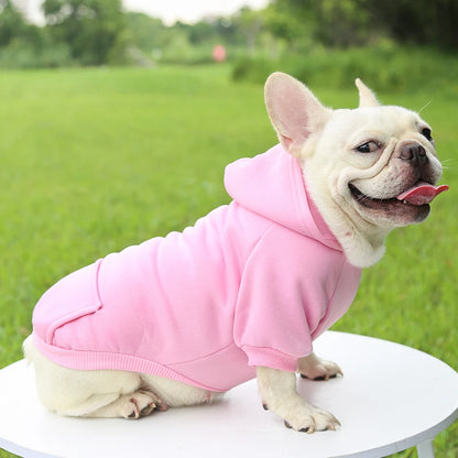 Warm Hooded Sweater for Small Dogs - Autumn & Winter Wear