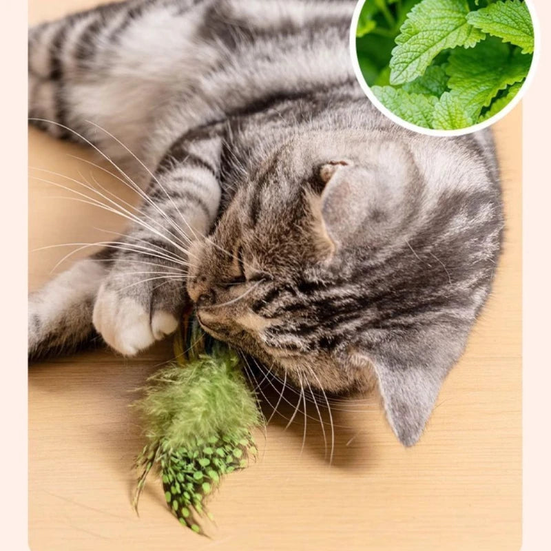 Interactive Wall Hanging Cat Toy with Sound and Catnip