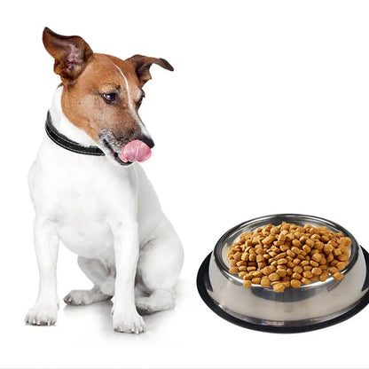Large Steel Pet Feeding Bowl for Cats and Dogs