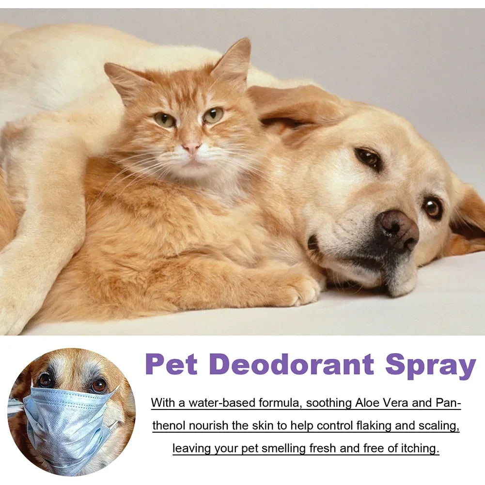 Lavender Oil Pet Deodorizer Spray for Dogs and Cats