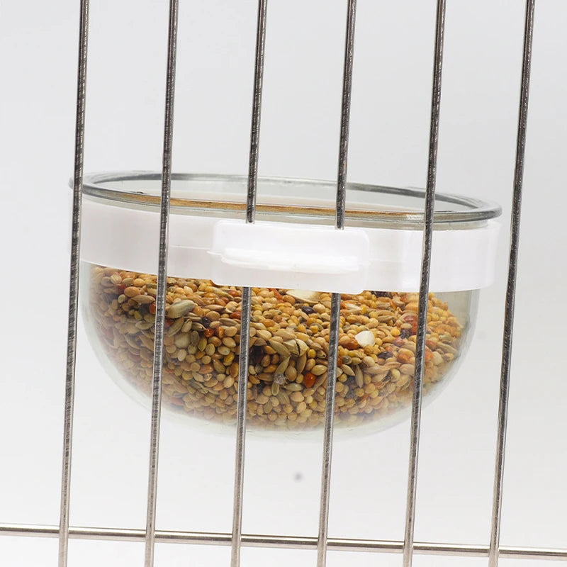 Detachable Transparent Parrot Feeding Bowl and Water Cup