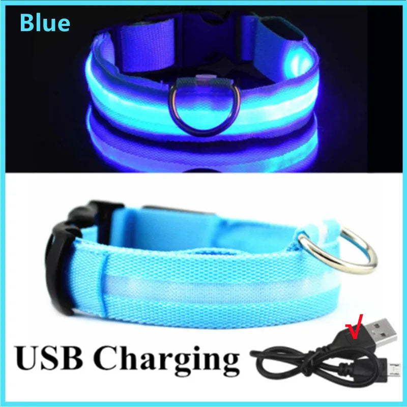 LED Glowing USB Rechargeable Pet Safety Collar for Dogs and Cats