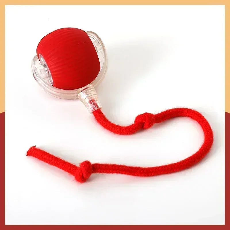 Rechargeable Electric Interactive Ball for Dogs and Cats