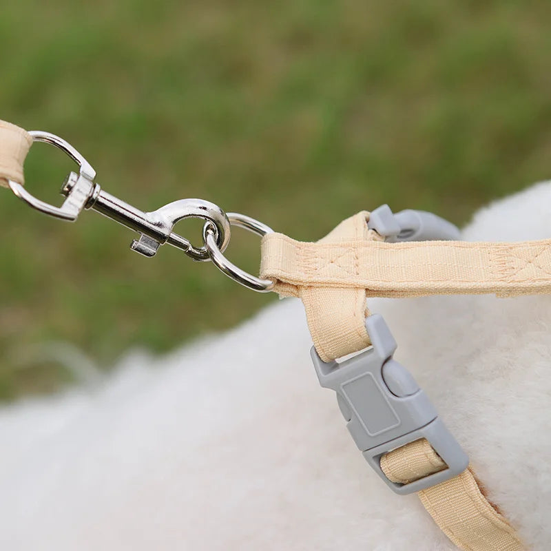 Adjustable Harness and Leash Set for Small Dogs and Cats