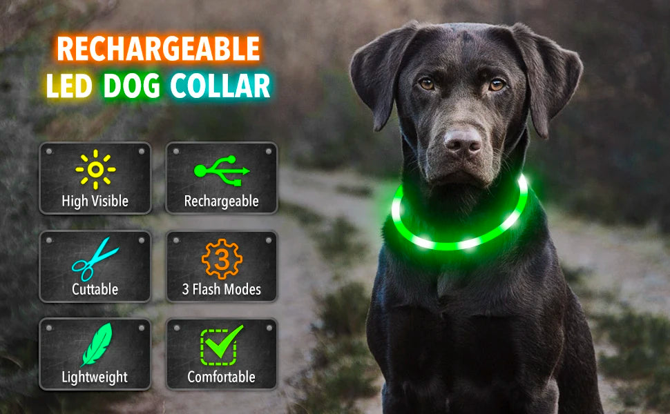 LED Glowing USB Rechargeable Pet Safety Collar for Dogs and Cats