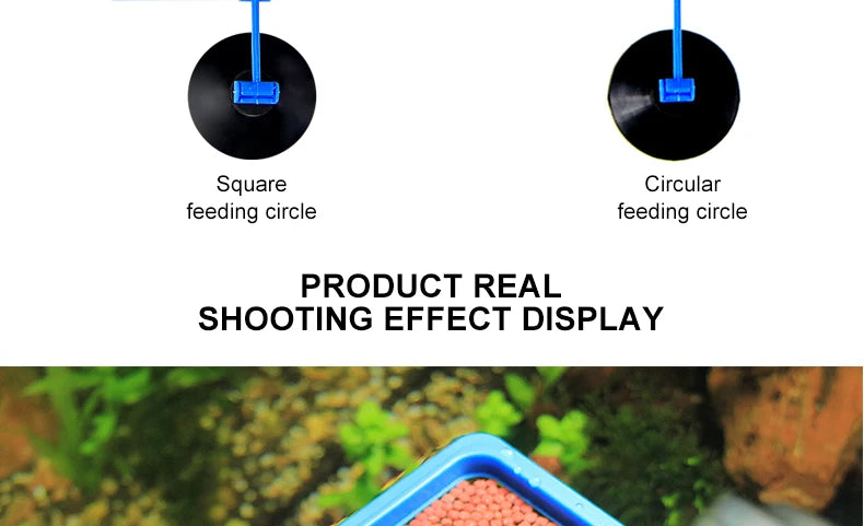 Portable Fish Feeding Ring with Suction Cups for Aquariums