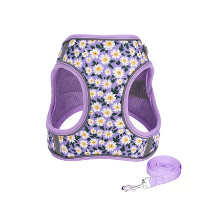Printed 360° Fit Pet Harness with 1.5m Leash for Dogs & Cats
