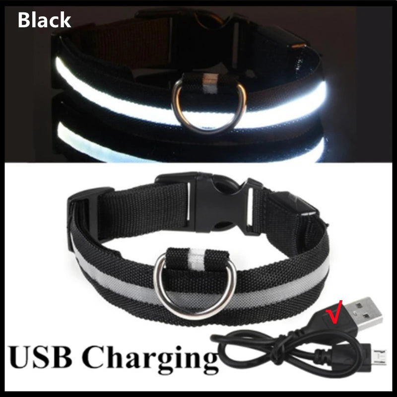 LED Glowing USB Rechargeable Pet Safety Collar for Dogs and Cats