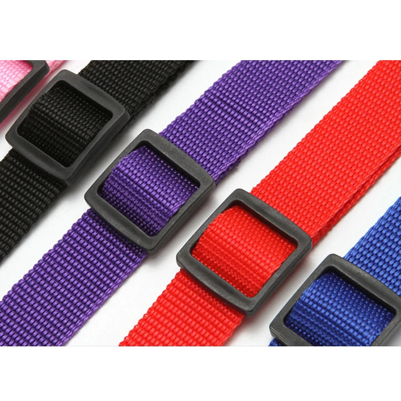 Adjustable Two-in-One Pet Car Seat Belt and Leash