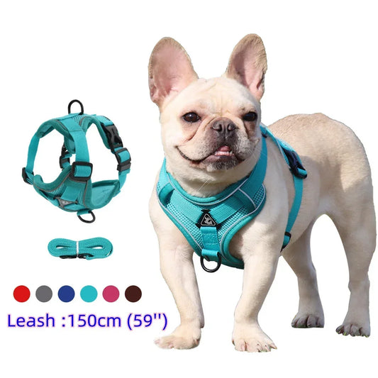 Adjustable No-Pull Dog Harness with 1.5m Leash Set