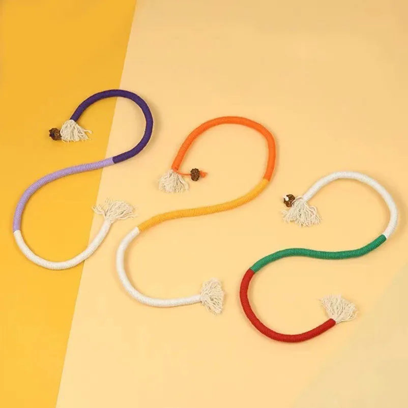 Chew-Resistant Cat Teaser Toys for Kittens and Playtime