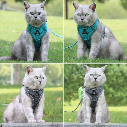 Adjustable No-Pull Dog Harness with 1.5m Leash Set