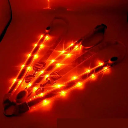 USB Rechargeable Horse Breastplate Harness with Night Visibility
