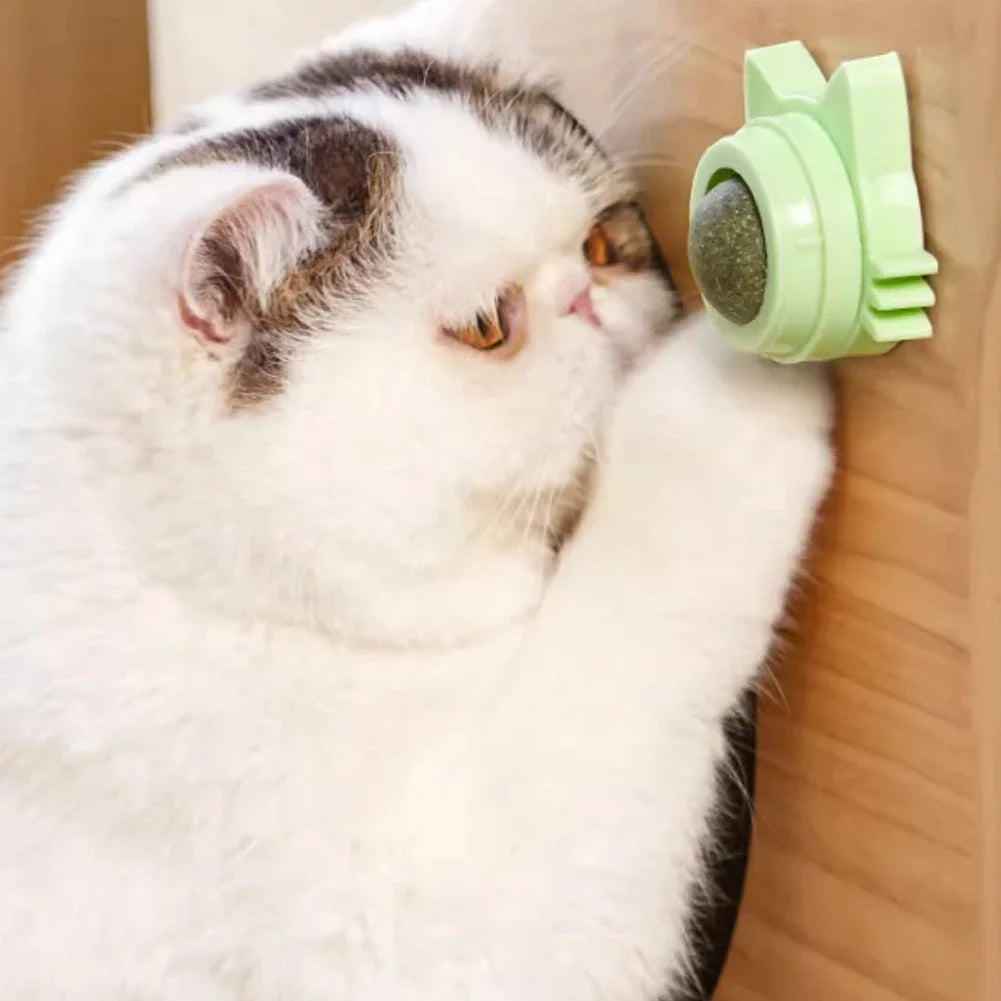 Catnip Lollipop Treat for Dental Care and Fresh Breath
