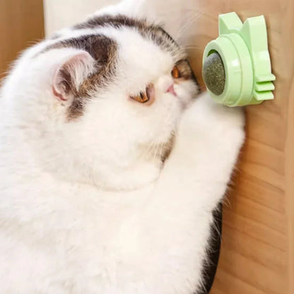 Catnip Lollipop Treat for Dental Care and Fresh Breath