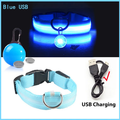 LED Light-Up Dog Collar for Night Safety - USB Rechargeable