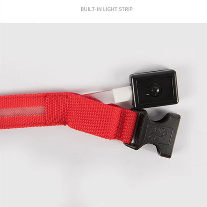 LED Glowing USB Rechargeable Pet Safety Collar for Dogs and Cats