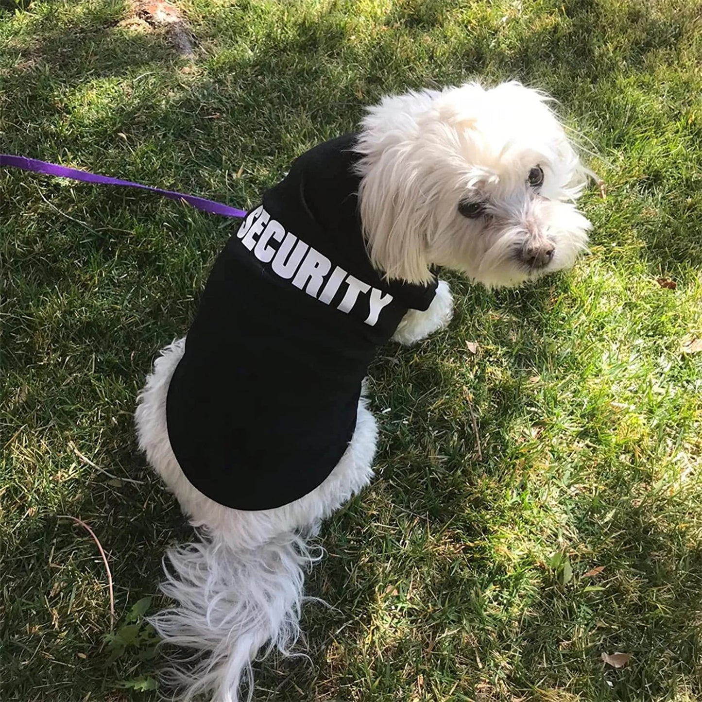 Summer Vest for Small Dogs and Cats - Pet T-Shirt Outfit