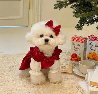 Winter Warm Dog Dress Set with Bow Knot for Small Breeds