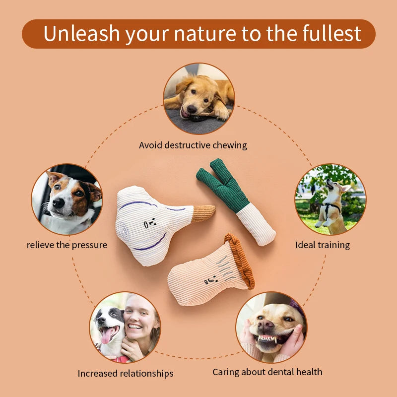Plush Dog Chew Toy Set - Onion, Mushroom, Garlic Squeaky Toy