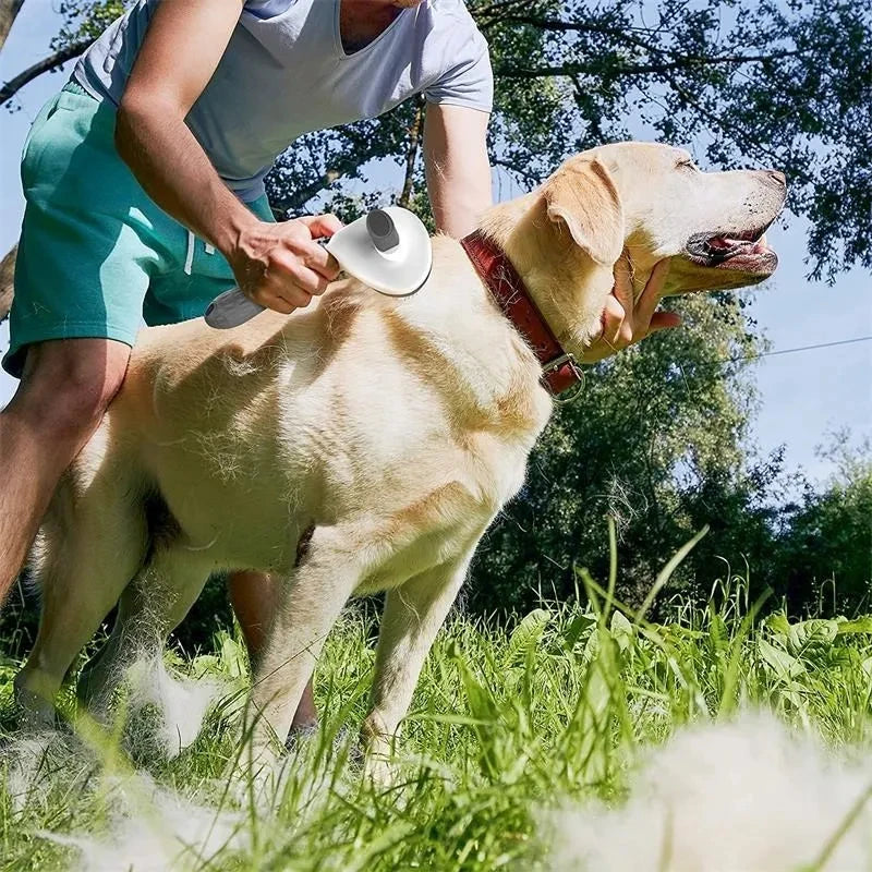 Self-Cleaning Pet Brush for Dogs and Cats
