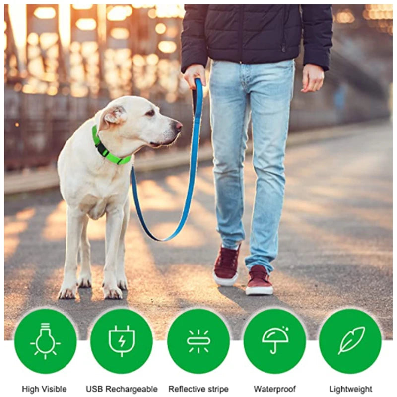 LED Light-Up Dog Collar for Night Safety - USB Rechargeable