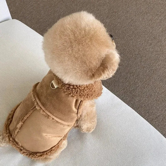 Chihuahua Sweatshirt Dress for Small Dogs and Pets