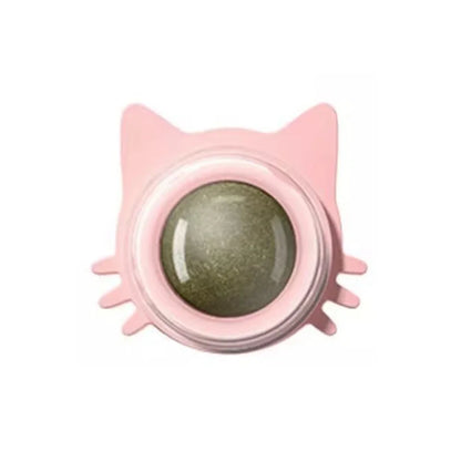 Catnip Lollipop Treat for Dental Care and Fresh Breath