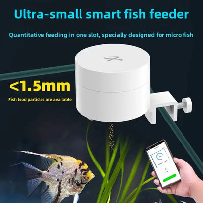Timed Fish Feeder for Small Tanks - Clog-Free Design