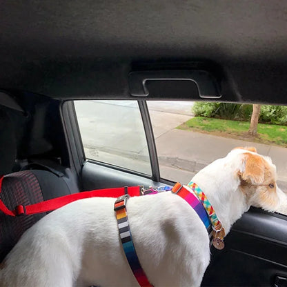 Adjustable Two-in-One Pet Car Seat Belt and Leash