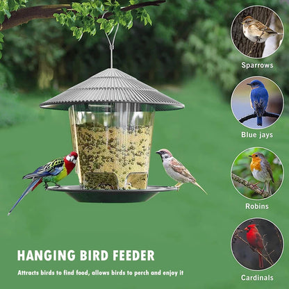 Transparent Window Bird Feeder for Nuts and Seeds