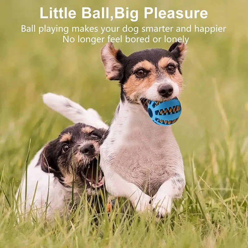Puzzle Food Dispenser Dog Toy for Mental Stimulation