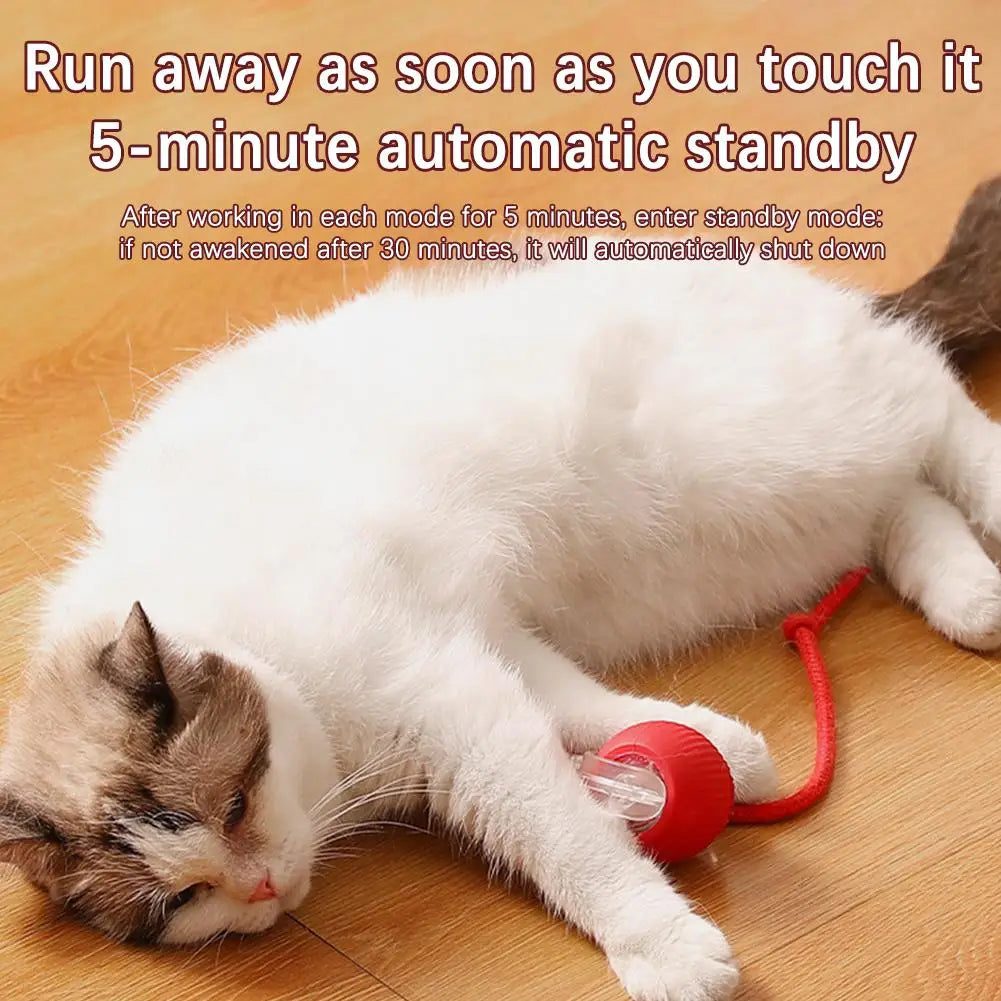 Rechargeable Interactive Cat Ball Toy with Faux Tail