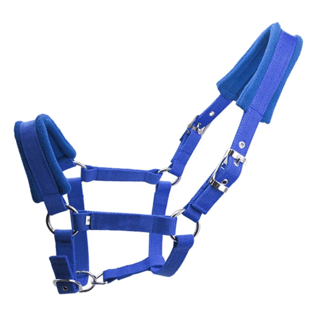Padded Pony Horse Halter and Bridle for Riding
