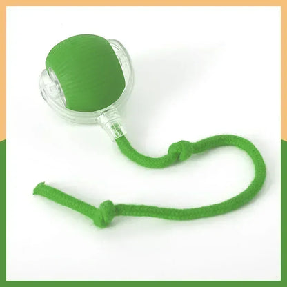 Rechargeable Electric Interactive Ball for Dogs and Cats