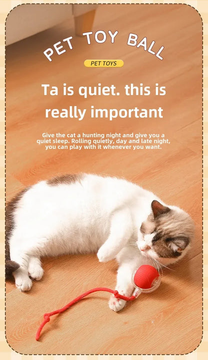 Rechargeable Electric Interactive Ball for Dogs and Cats