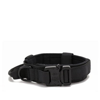 Durable Nylon Dog Collar and Reflective Leash Set