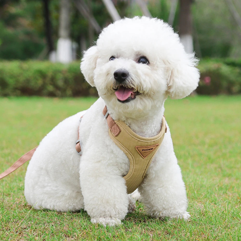 Adjustable Harness and Leash Set for Small Dogs and Cats