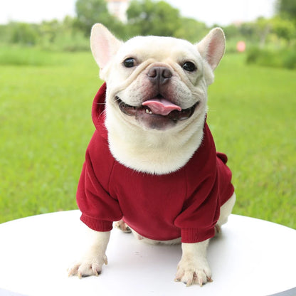 Warm Hooded Sweater for Small Dogs - Autumn & Winter Wear