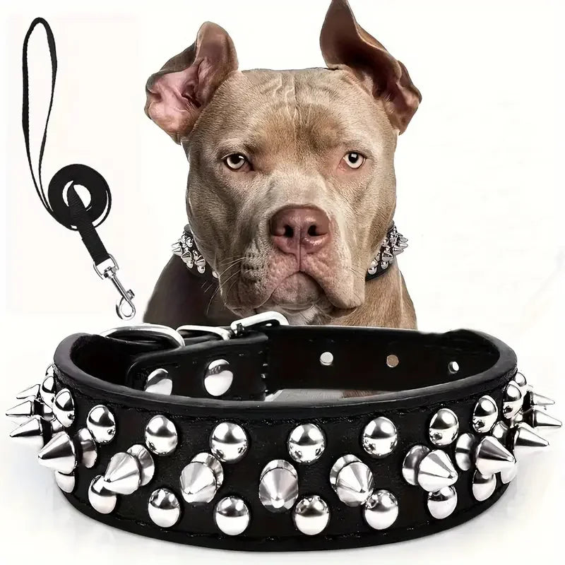 Spiked Leather Dog Collar and Leash Set for Walking