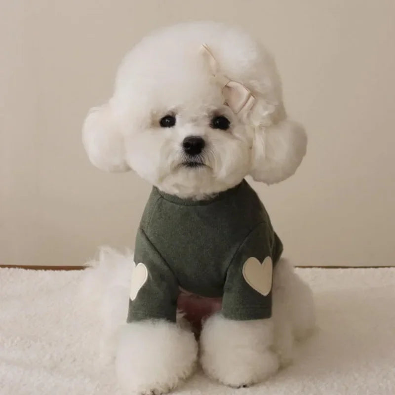 Winter Hoodie for Dogs and Cats with Love Bear Design