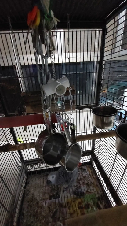 Stainless Steel Bird Toys with Chewable Acrylic Pots