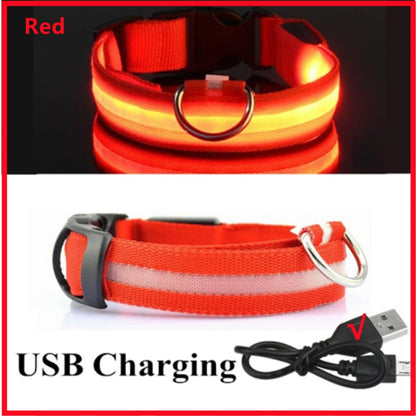 LED Glowing USB Rechargeable Pet Safety Collar for Dogs and Cats