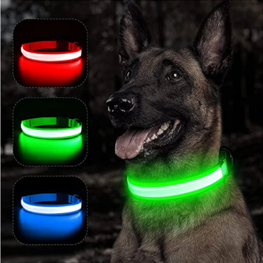 LED Light-Up Dog Collar for Night Safety - USB Rechargeable