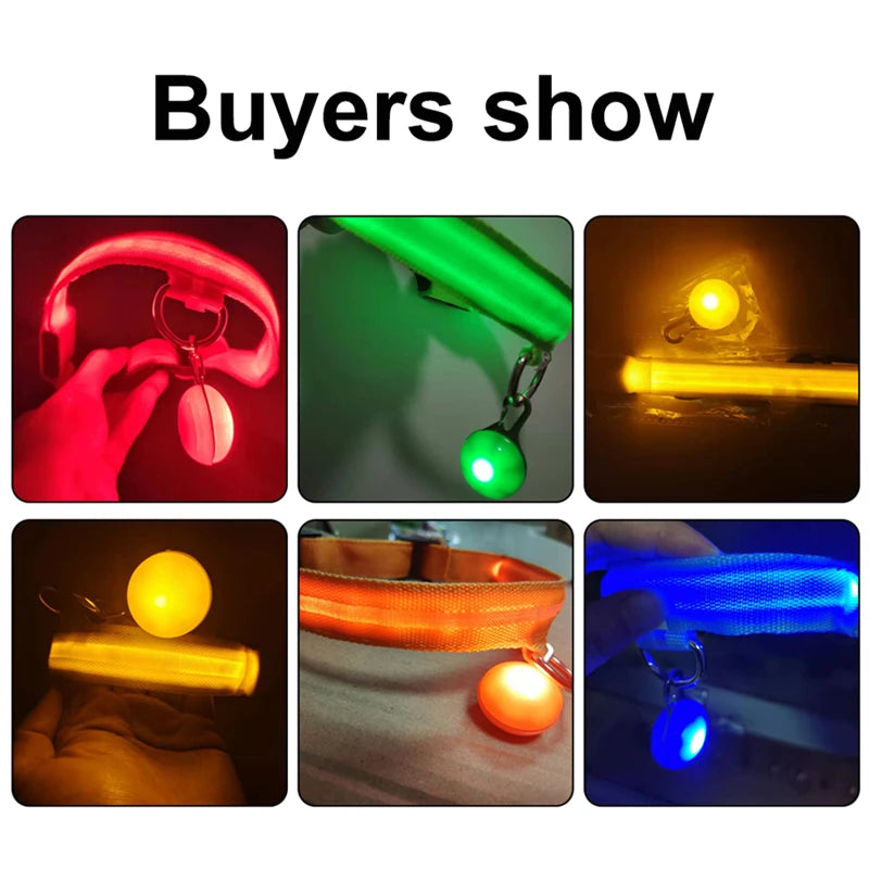 LED Light-Up Dog Collar for Night Safety - USB Rechargeable