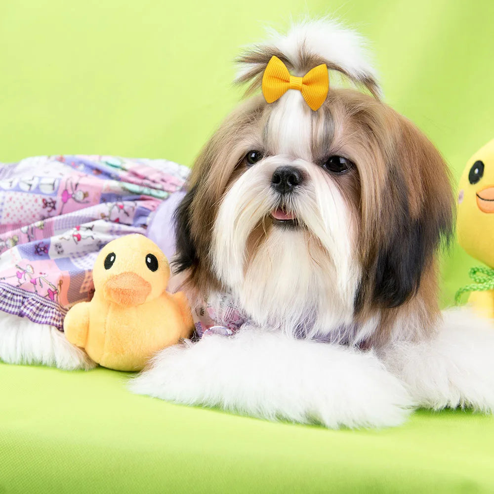 20pcs Handmade Solid Dog Hair Bows for Small Dogs
