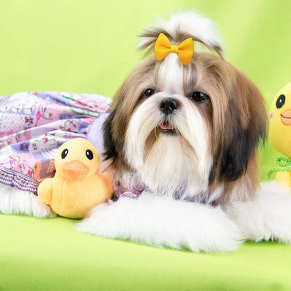 20pcs Handmade Solid Dog Hair Bows for Small Dogs