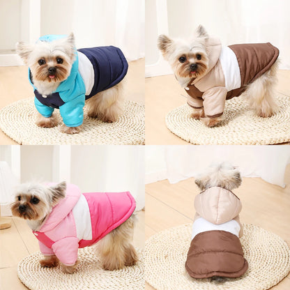 Waterproof Windproof Dog Hoodie for Small Dogs and Cats